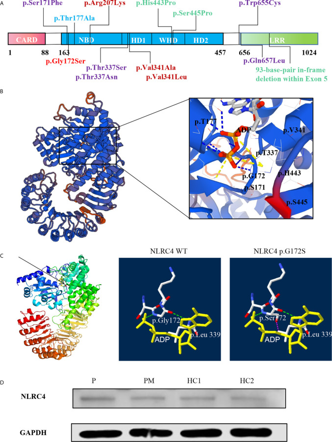 Figure 2