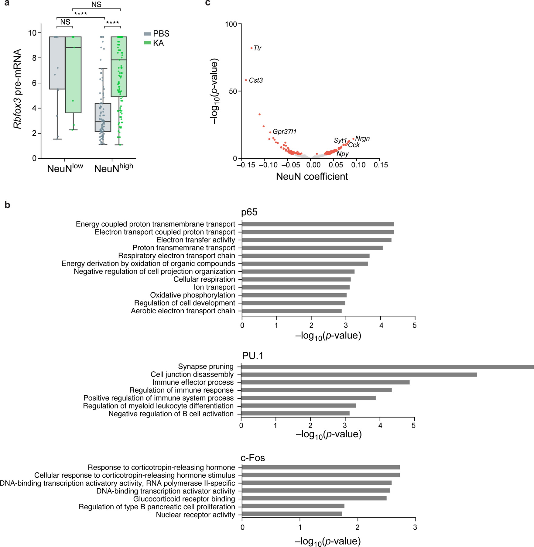 Extended Data Fig. 7