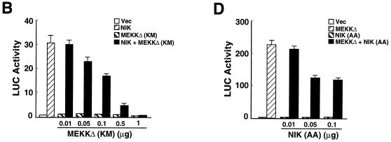 FIG. 7