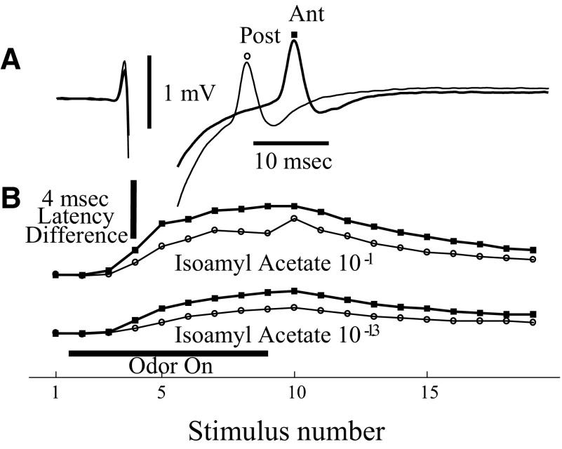 FIG. 7.