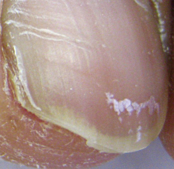 Figure 5.
