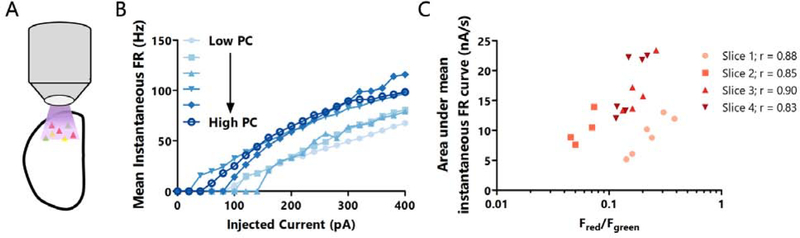 Figure 6: