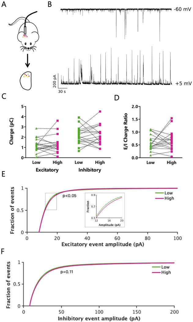 Figure 7: