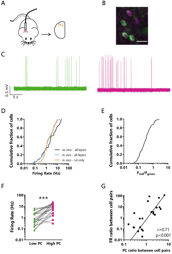 Figure 2: