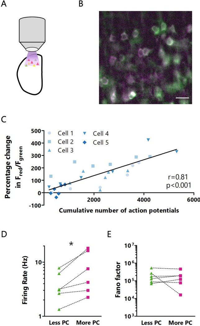 Figure 3: