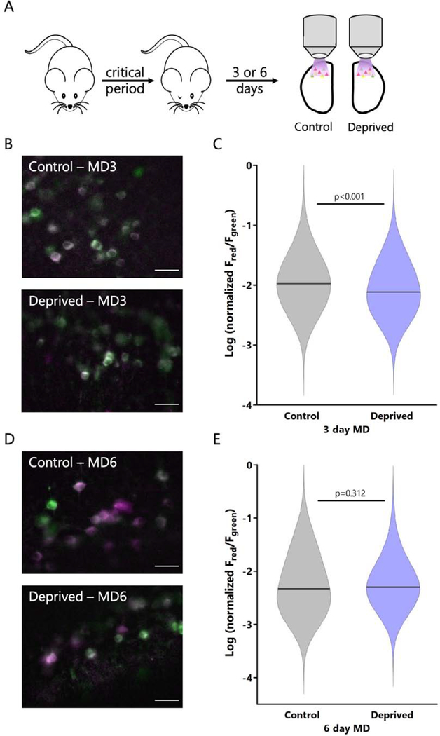 Figure 4: