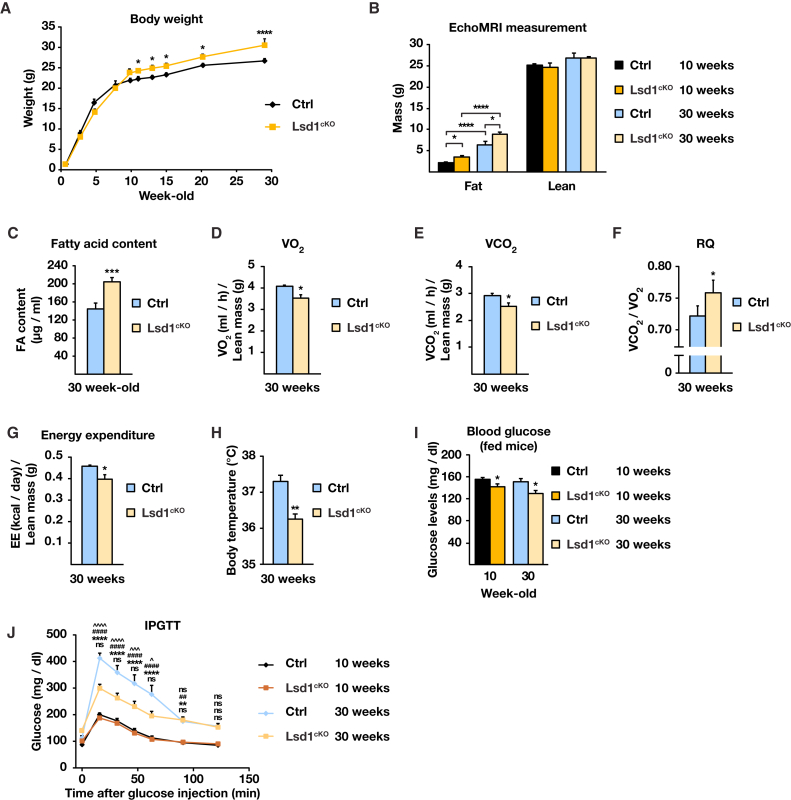 Figure 6