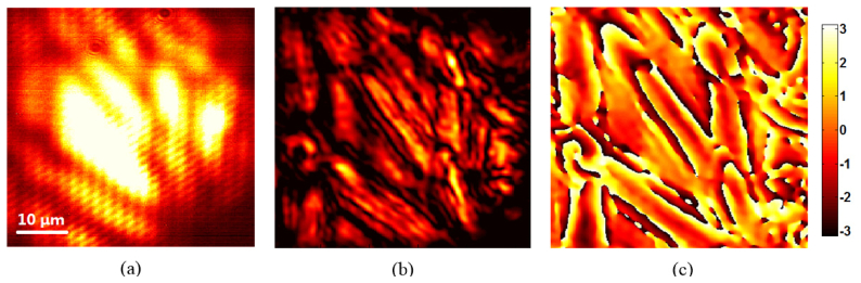 Fig. 6