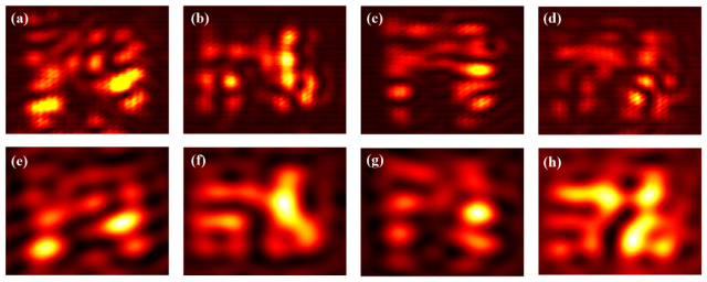 Fig. 8