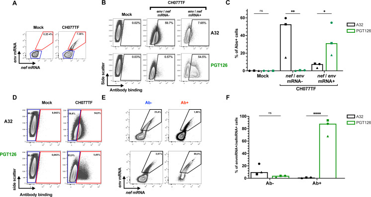 Simultaneous detection of antibody binding and HIV-1 mRNA in primary CD4+ T cells infected with either mock or HIV-1 CH077 WT, using flow cytometry and RNA Flow-FISH.