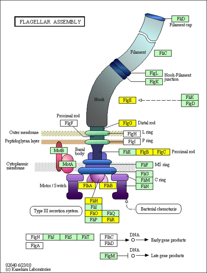 Fig 3