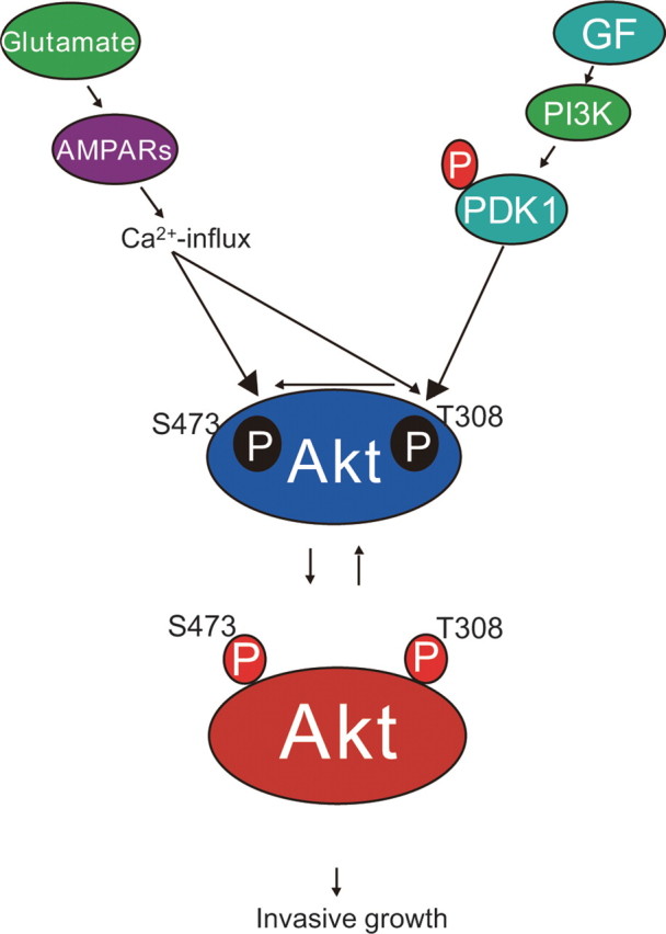 Figure 10.