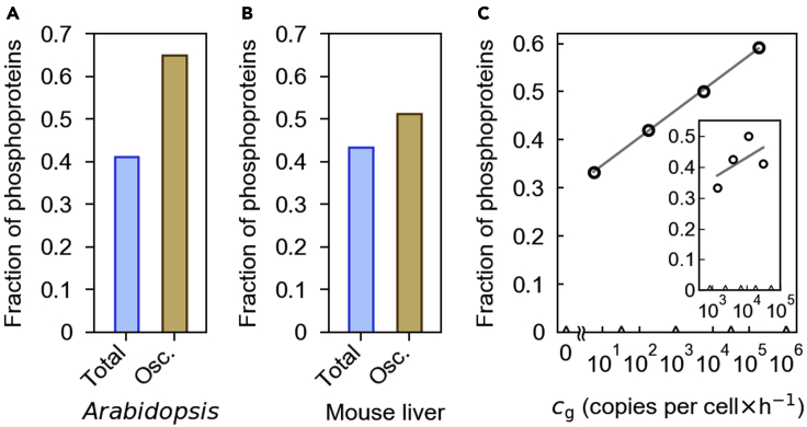 Figure 6