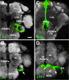 Fig.7
