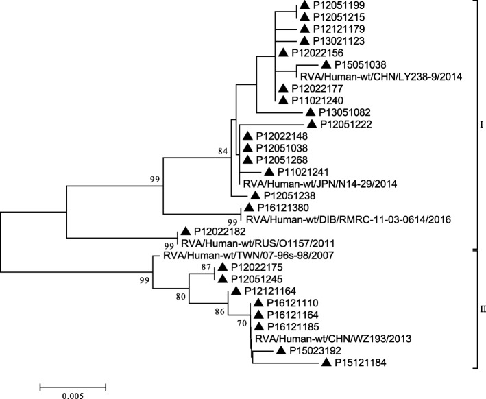 Fig. 6