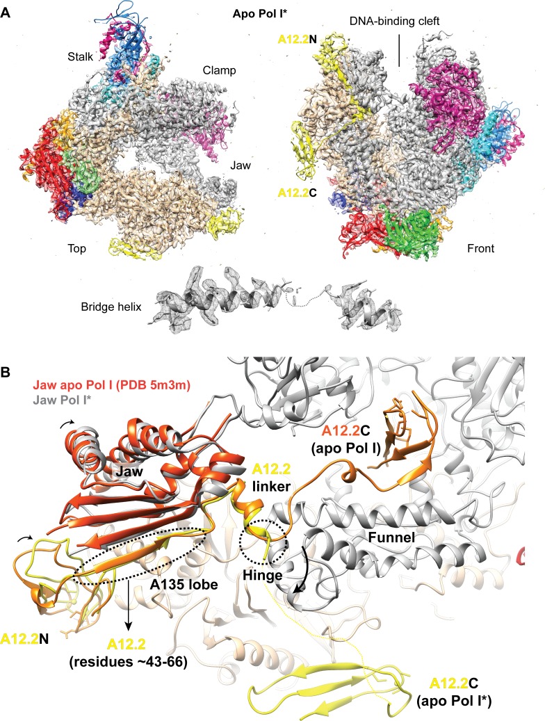 Figure 1—figure supplement 3.