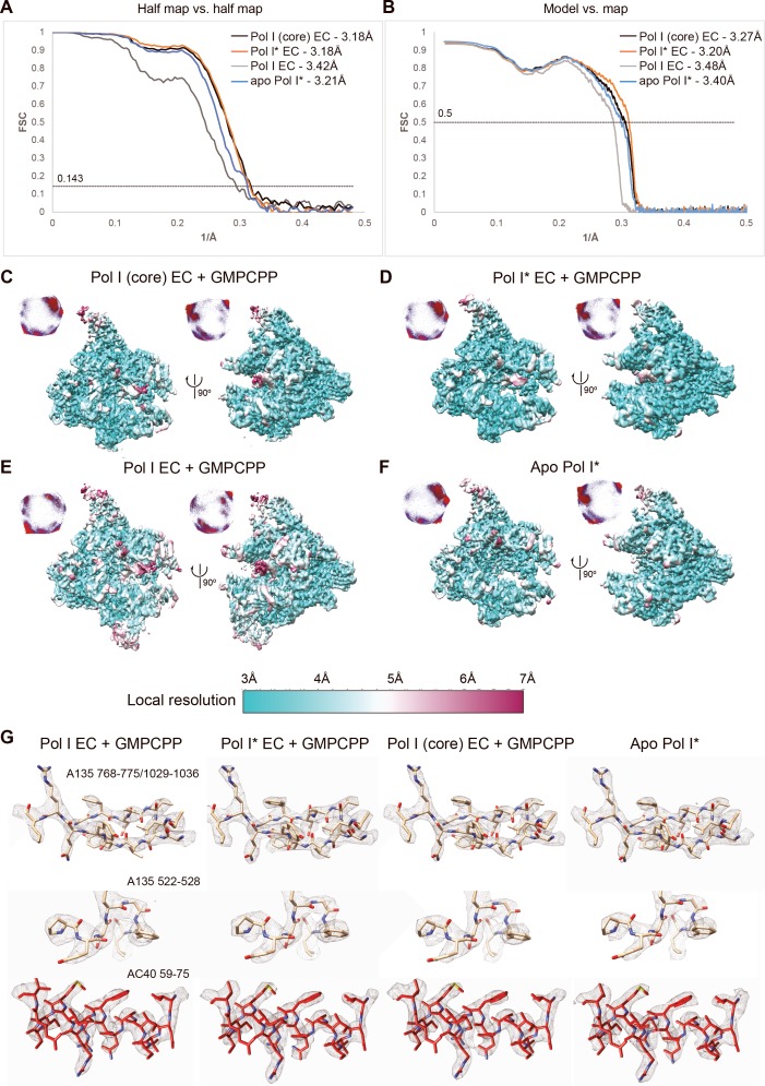 Figure 1—figure supplement 2.