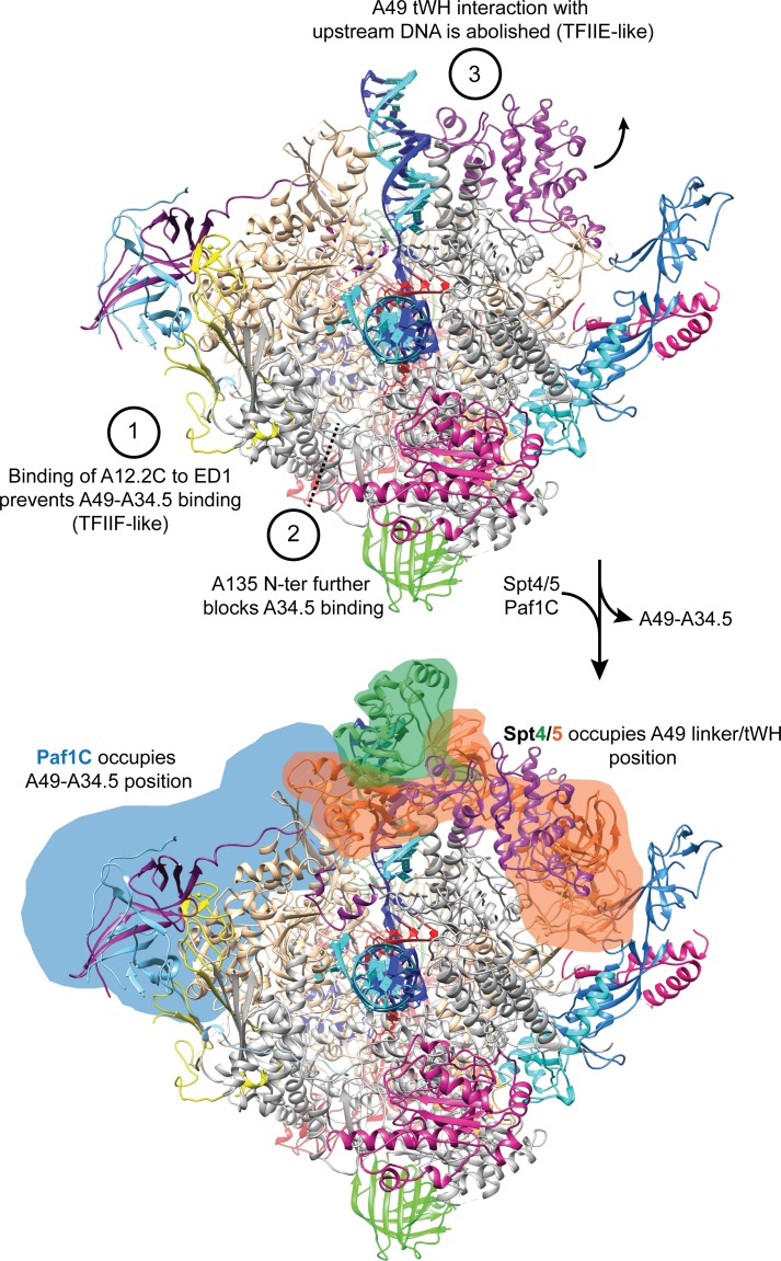 Figure 6—figure supplement 1.