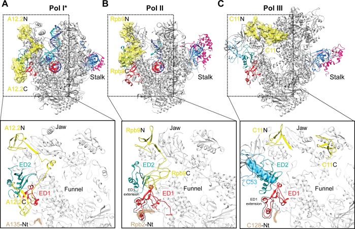 Figure 4.