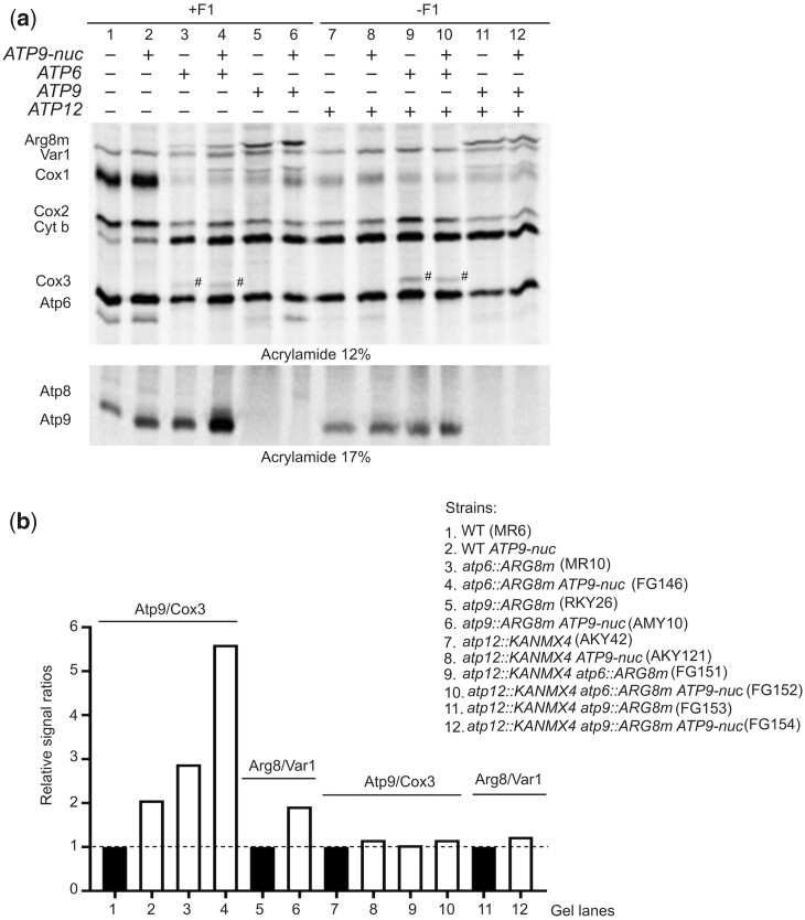 Fig. 6.