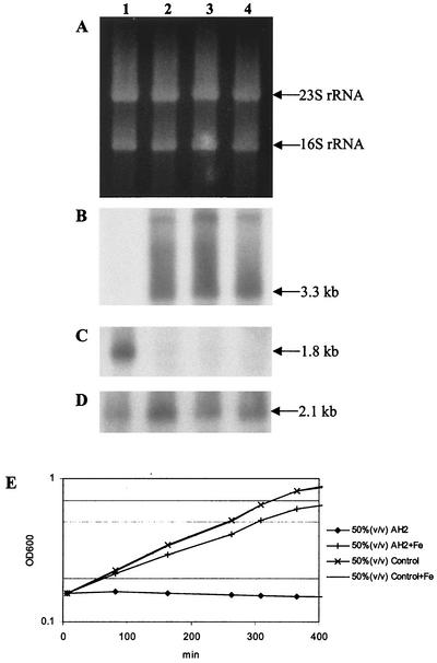 FIG. 5.