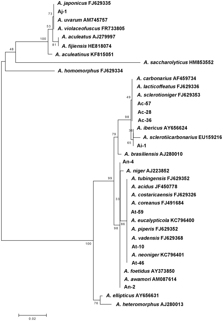 Figure 6