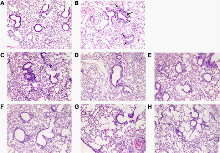 Fig. 7