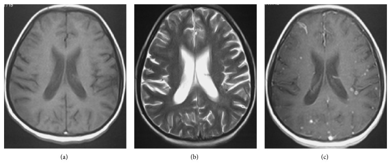 Figure 7