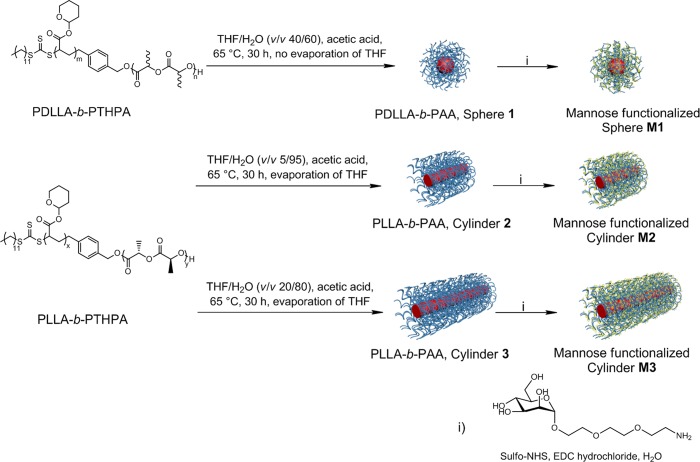 Scheme 1