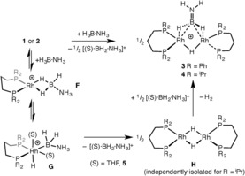 Scheme 5