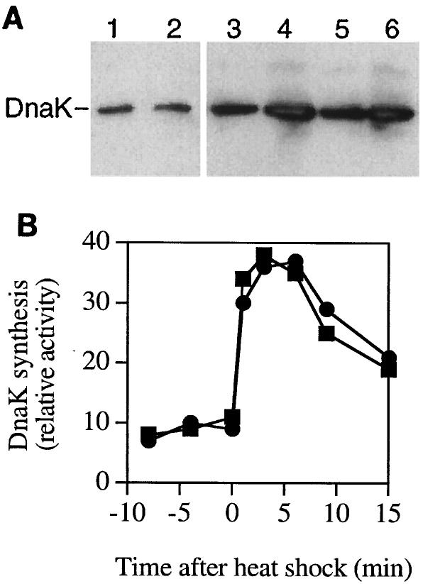 FIG. 5.