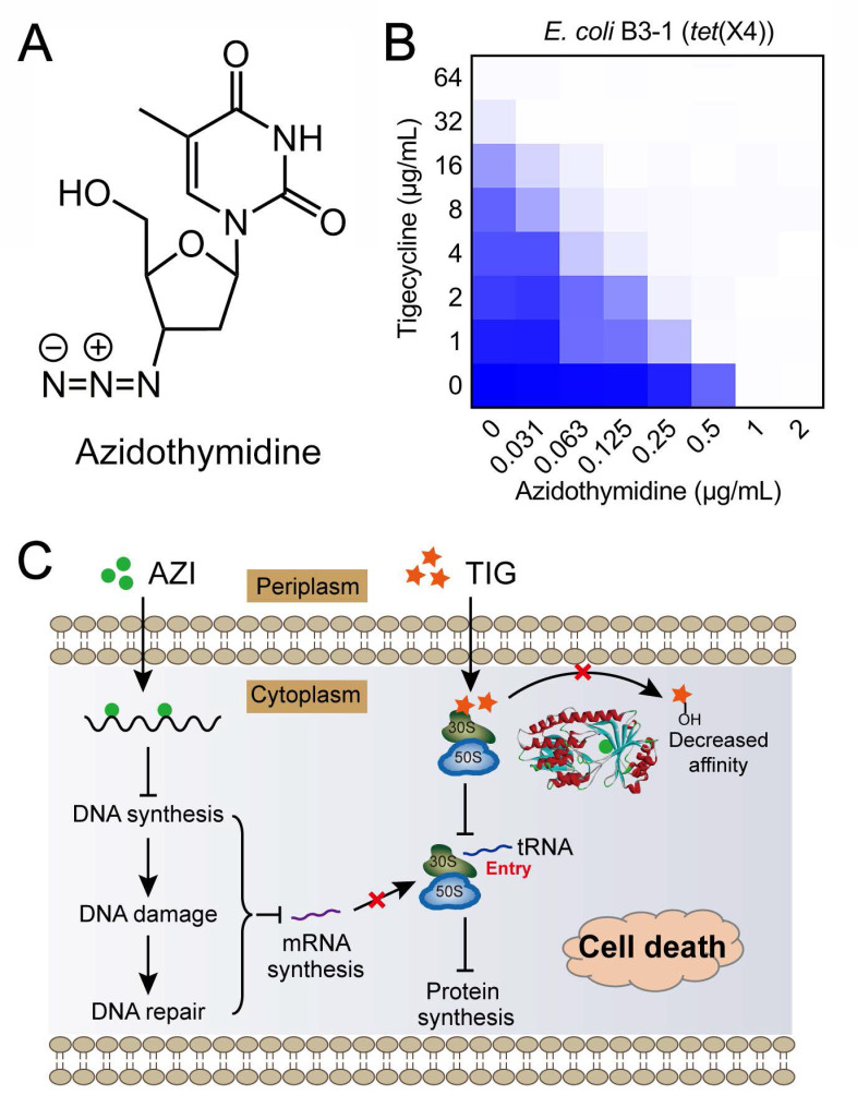 Figure 6