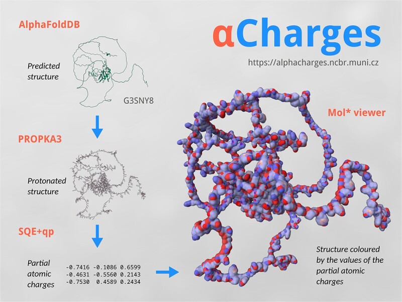 Graphical Abstract