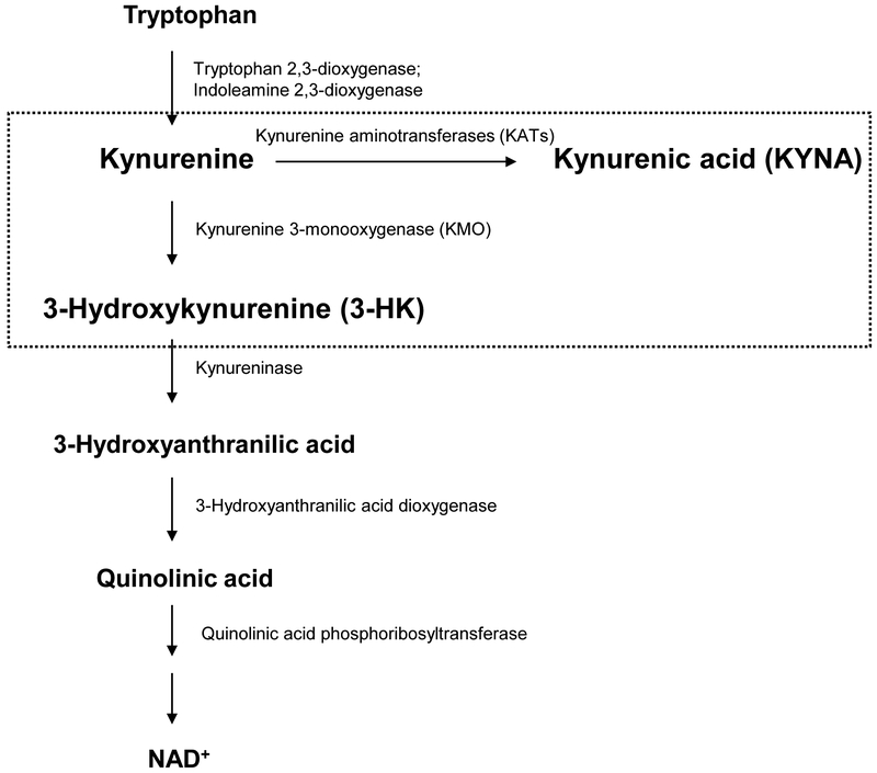 Figure 1: