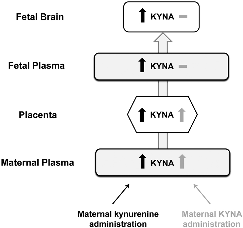 Figure 6: