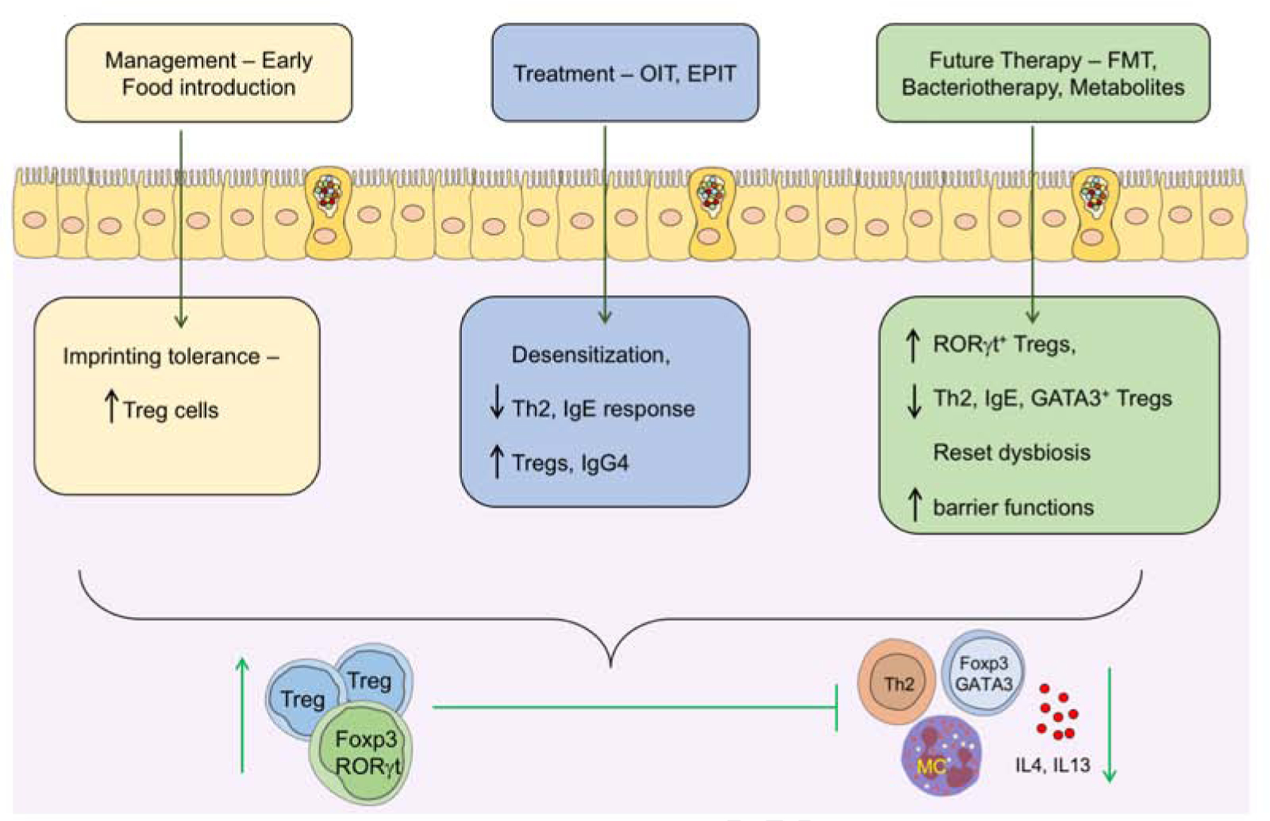 Figure 4: