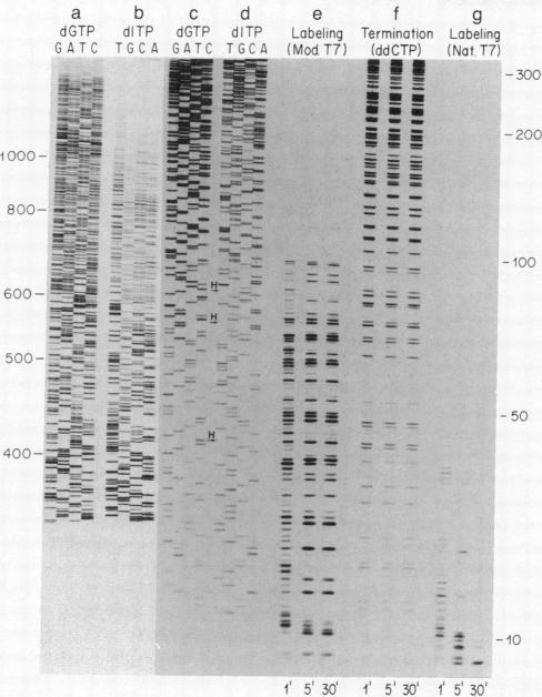 graphic file with name pnas00279-0113-a.jpg