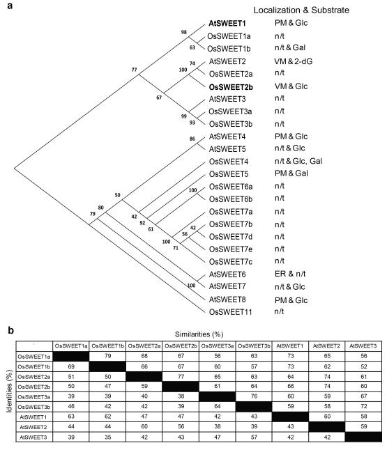 Extended Data Figure 1