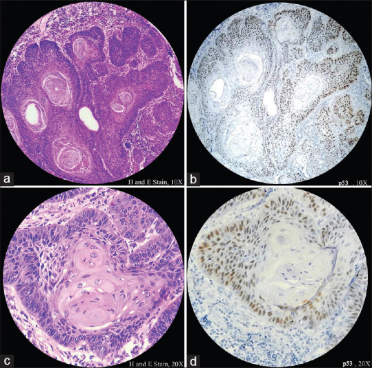 Figure 3(a-d)