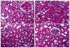 Fig. 4