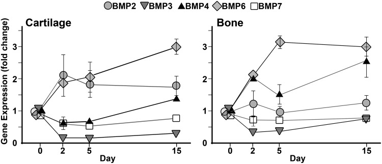 FIG. 7.