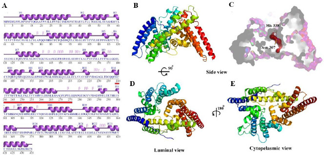 Fig. 4