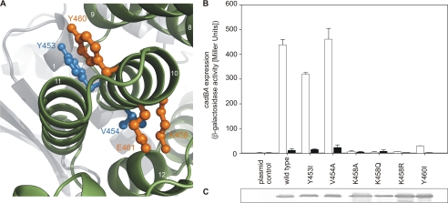 FIGURE 5.