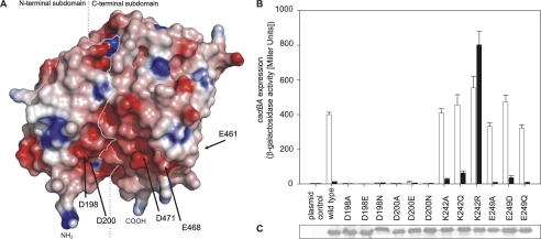 FIGURE 6.