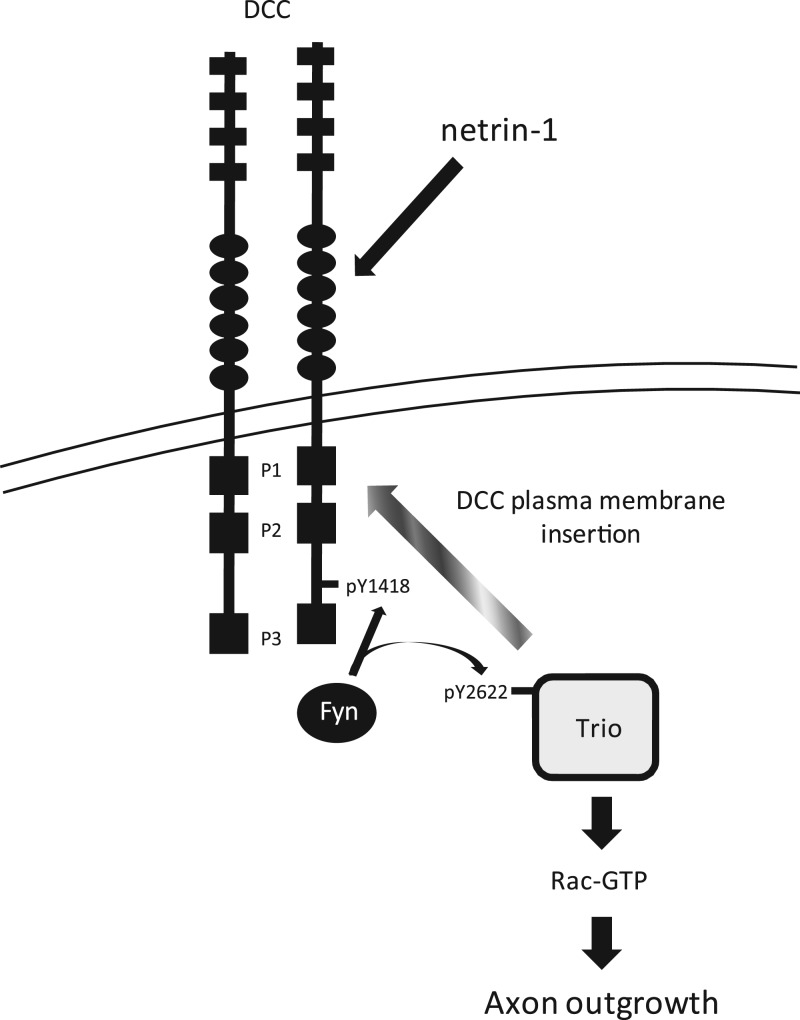 Fig 8