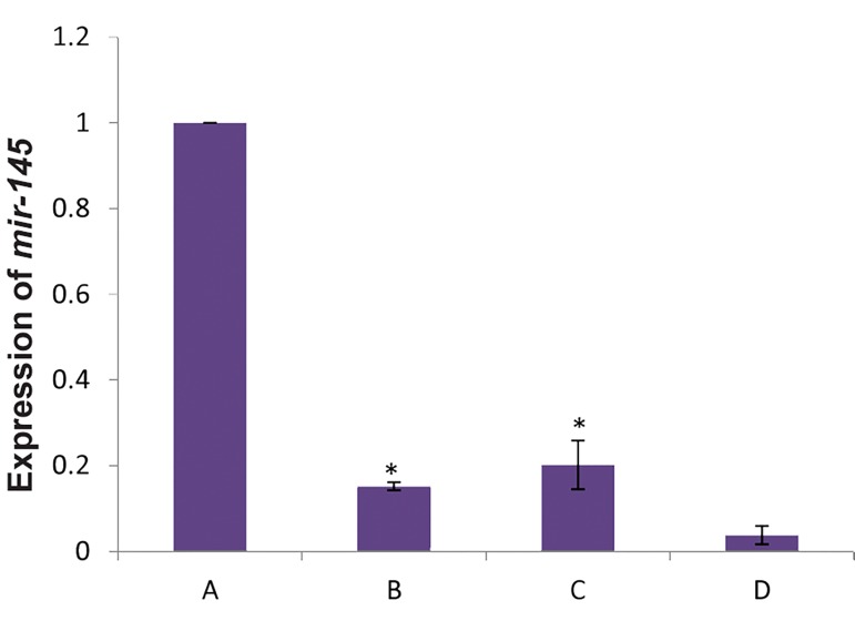 Fig.6