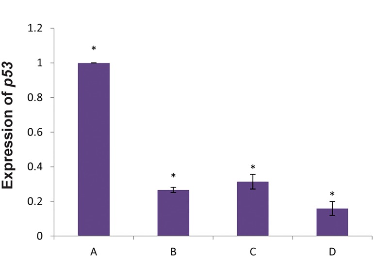 Fig.5