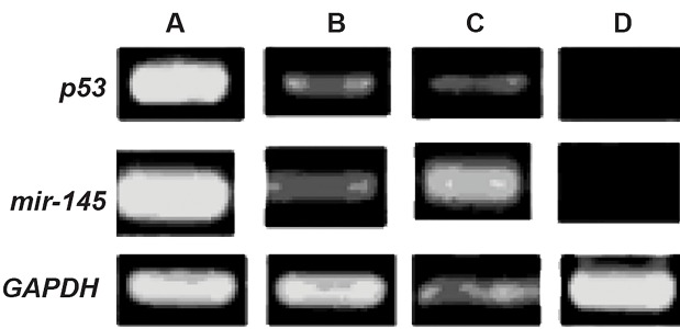 Fig.4