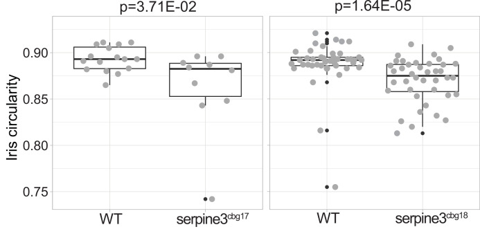 Figure 4—figure supplement 3.