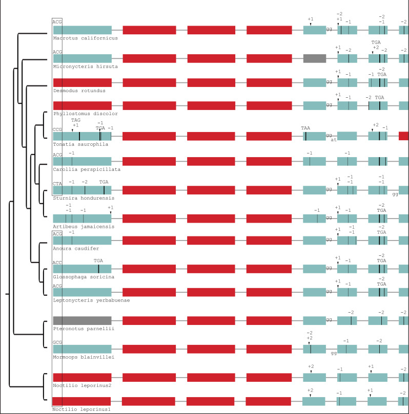 Figure 2—figure supplement 6.